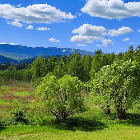Domki Sniezka Wojcieszyce Exteriér fotografie