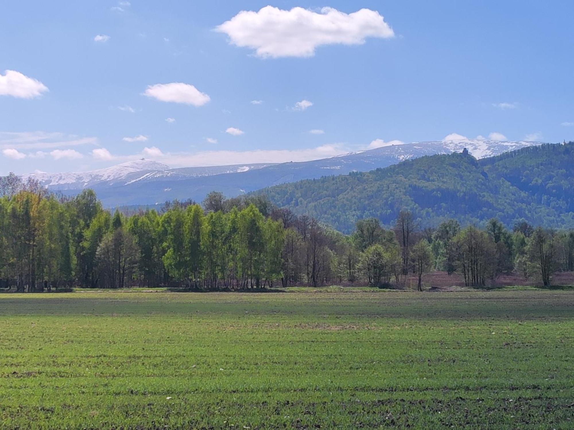 Domki Sniezka Wojcieszyce Exteriér fotografie
