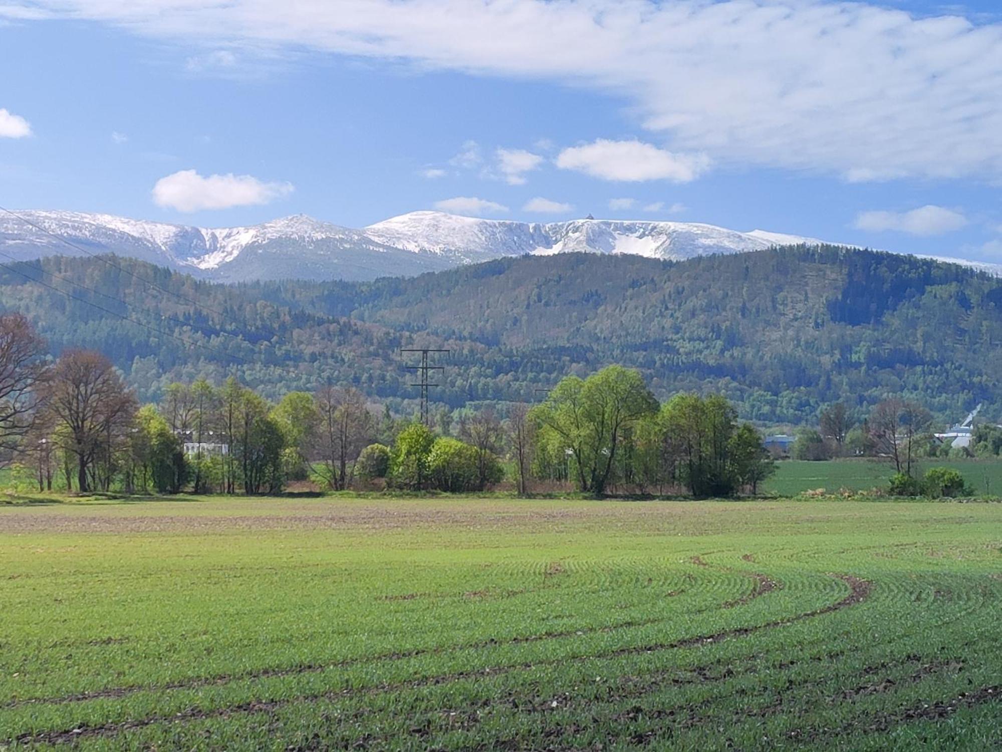 Domki Sniezka Wojcieszyce Exteriér fotografie