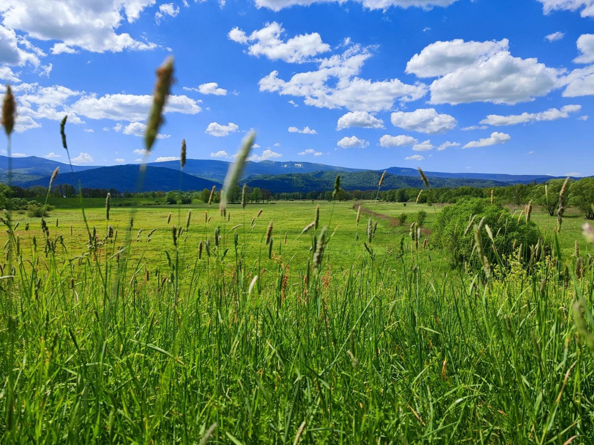 Domki Sniezka Wojcieszyce Exteriér fotografie