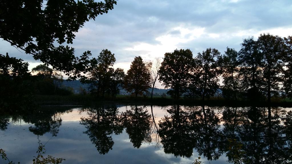 Domki Sniezka Wojcieszyce Exteriér fotografie