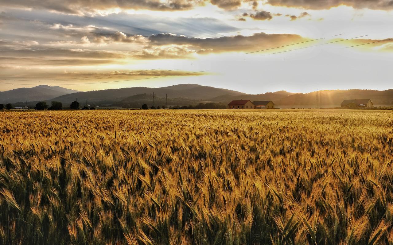 Domki Sniezka Wojcieszyce Exteriér fotografie